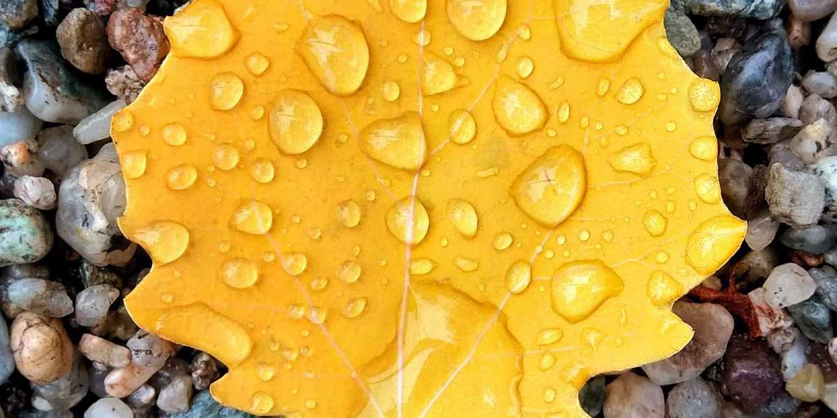 O Manifesto Cripto-Anarquista